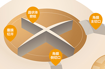 病因症状